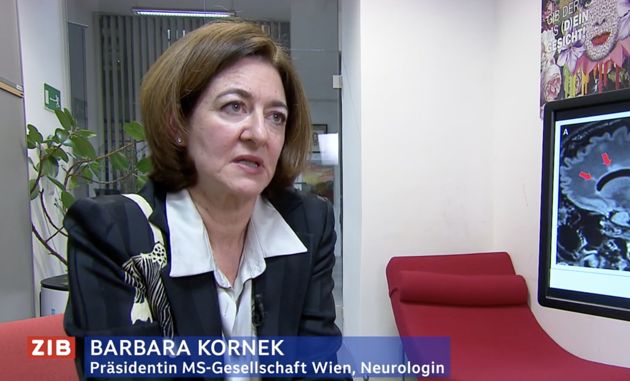 Dr. Kornek spricht in der ZIB